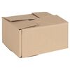 vidaXL Sulankstoma dėžė 50 pcs Natūrali 20 x 15 x 10 cm Kartonas