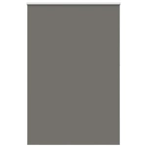 vidaXL roletas smėlio Pilka 165x210 cm audinio plotis 161,6 cm