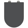 vidaXL Greito atleidimo tualeto sėdynė Antracitas 46.2 x 36 x 4.3 cm