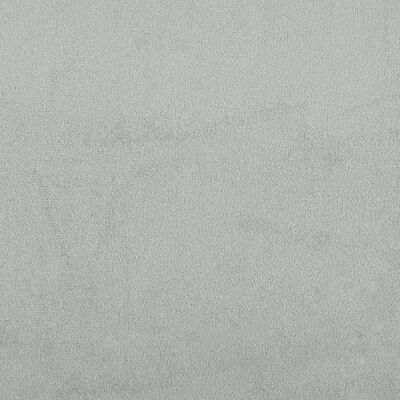 vidaXL Krėslas, šviesiai pilkos spalvos, aksomas