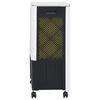 vidaXL Mobilus oro vėsintuvas, baltas/juodas, 73x38x30,5cm, 80W, 3-1
