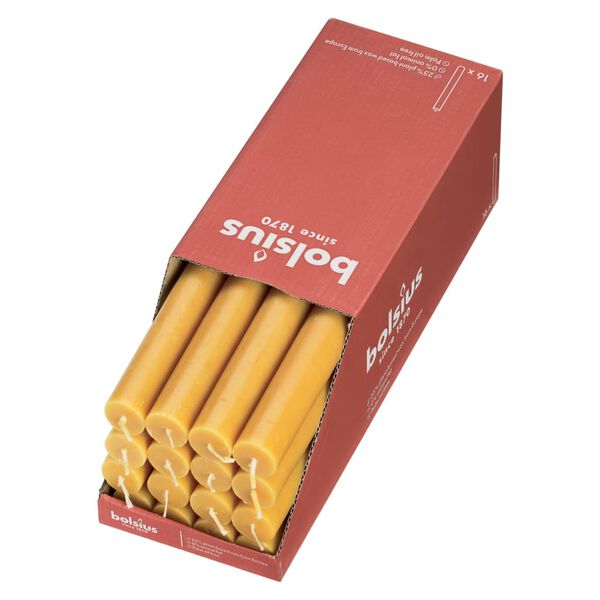 Bolsius Stalo žvakės Shine, 16vnt., korio geltonos spalvos, 27cm