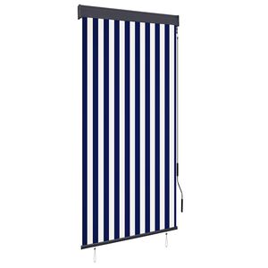 vidaXL Lauko roletas, baltos ir mėlynos spalvų, 100x250cm