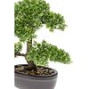 Emerald Dirbtinis fikusas, mini bonsai medis, žalias, 32cm, 420002