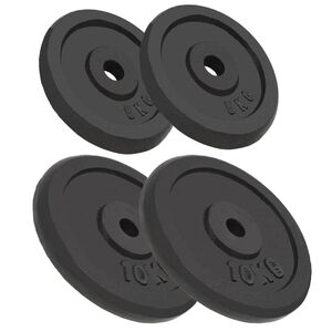 vidaXL Svoriai, 4vnt., 2x10kg+2x5kg, ketus
