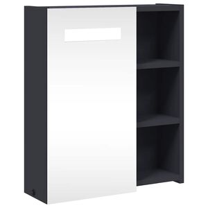 vidaXL Veidrodinė vonios kambario spintelė su LED, pilka, 45x13x52cm