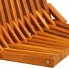 vidaXL Sulankstomos sodo kėdės 2 pcs Ruda 56 x 69 x 84 m