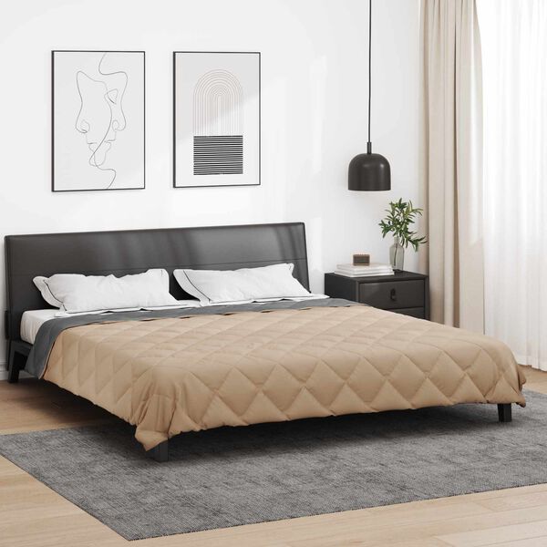 vidaXL Vasaros antklodė Antracito ir taupe 240 x 260 cm Mikropluo&scaron;tas