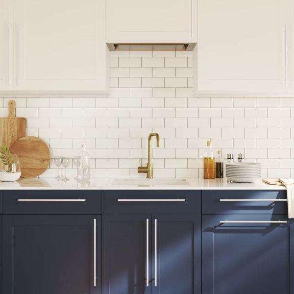 vidaXL Spintelės rankenėlės, 10vnt., sidabrinės, nerūdijantis plienas