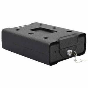 vidaXL Automobilio Seifas su užraktu Juoda 21.8 x 16 x 7 cm Plienas