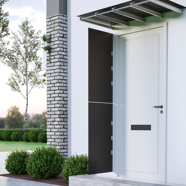 vidaXL Šoninės sienelės stogeliui durims, 2vnt., juodos, stiklas