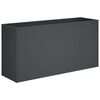 vidaXL Sodo vazonas Antracito 100 x 30 x 40 cm