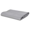 vidaXL Tentas, pilkos spalvos, 4x7m, 650g/m&sup2;