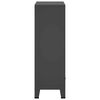 vidaXL Drabužių spinta, antracito spalvos, 67x35x107cm, plienas