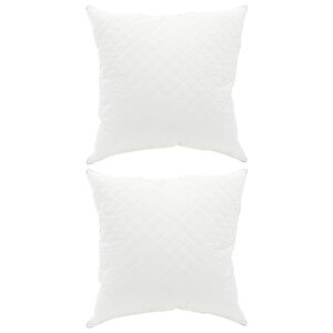 vidaXL Pagalvė FULDA 2 vnt. 60 x 60 cm 100% žąsų pūkai ir plunksnos