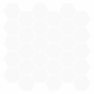 vidaXL Heksagoninė plytelė 10 pcs Balta 30 x 30 cm Poliuretanas ir PET