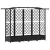 vidaXL Pakeltas lovas su trelėmis ir stogu Juodas 203,5 x 40 x 125 cm