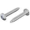 vidaXL Mediniai varžtai 2 vnt. Sidabrinė M4 x 25 mm Plienas