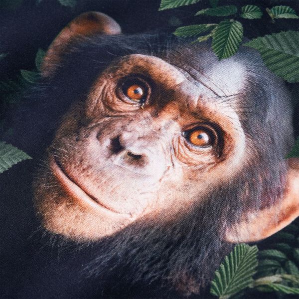 Vaiki&scaron;kas sportinis megztinis, tamsios chaki spalvos, 116 dydžio