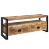 vidaXL TV spintelė, 120x35x45cm, mango medienos masyvas