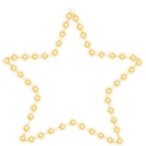 vidaXL Kalėdinė dekoracija žvaigždė su 48 &scaron;iltomis baltomis LED, 56cm