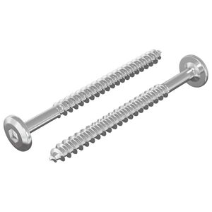 vidaXL Mediniai varžtai 2 vnt. Sidabrinė M6 x 70 mm Plienas