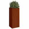 vidaXL Lovelis, 32x29x75cm, Corten plienas