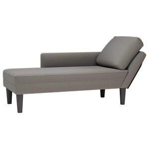 vidaXL Chaise Lounge su pagalvės šviesiai pilku velveto audiniu