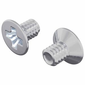 vidaXL Įsukamo galvutės varžtai 2 vnt. Sidabro M4 x 6 mm Plienas