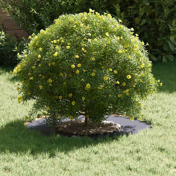 vidaXL tinkamas plokščiam medžio žiedui Antracitas Ø30 / 60 cm Plienas