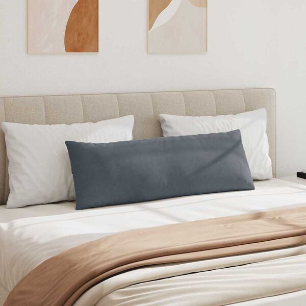 vidaXL Sofa Pagalvės 2 pcs Tamsiai pilka 120 x 40 cm