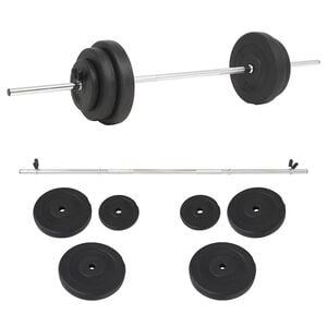 vidaXL &Scaron;tangų rinkinys, 30kg