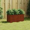 vidaXL Lovelis, 80x40x40cm, Corten plienas