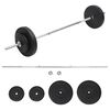 vidaXL &Scaron;tangos su svoriais rinkinys, 30kg