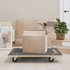vidaXL Transportavimo vežimėliai, 2vnt., 80x55x11,5cm, stačiakampiai