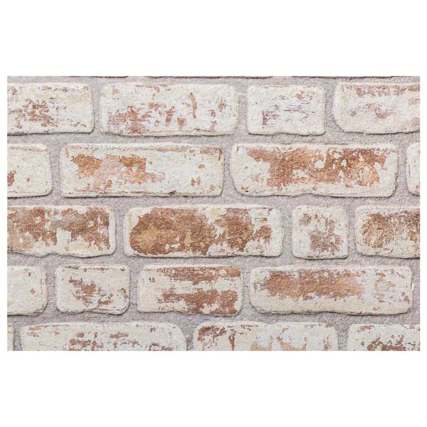 vidaXL Sienų plok&scaron;tės 10 pcs Raudona ir balta 100 x 50 cm EPS putos