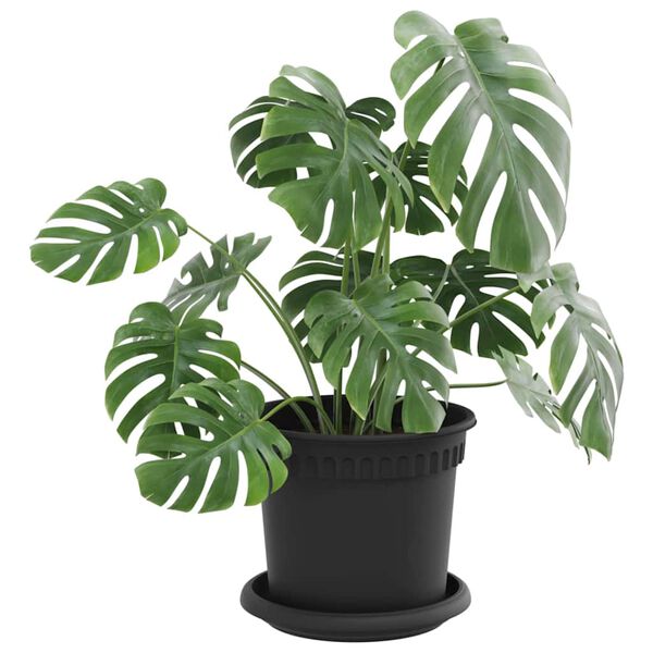 Rodomas prekėsprodukto vaizdas 3 i&scaron; 12