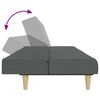 vidaXL Dvivietė sofa-lova su pakoja, tamsiai pilkos spalvos, audinys