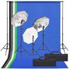 vidaXL Fotostudijos rinkinys su ap&scaron;vietimo rinkiniu ir fonu
