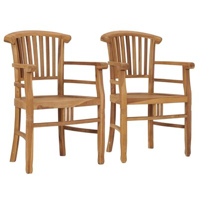 vidaXL Sodo kėdės, 2vnt., tikmedžio medienos masyvas