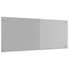 vidaXL Virtuvės atbraila &Scaron;viesiai pilka 100 x 40 cm grūdintas stiklas