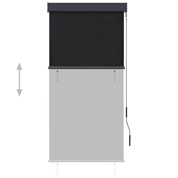 vidaXL Lauko roletas, antracito spalvos, 80x250cm