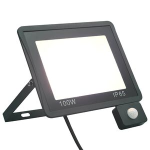 vidaXL LED prožektorius su jutikliu, &scaron;altos baltos spalvos, 100W