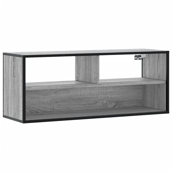 vidaXL Televizoriaus spintelė, pilka, 100x31x39,5cm, mediena/metalas