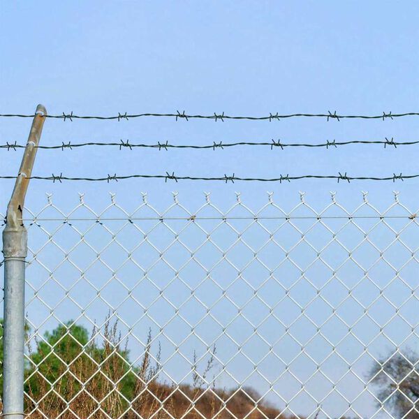 vidaXL Spyruoklinė viela Žalia 100 m Kar&scaron;tuoju galvanizuotas plienas