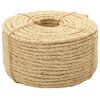 vidaXL Virvė, 100m, 100% sizalis, 8mm