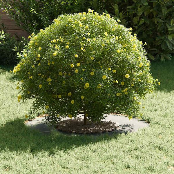 vidaXL tinkamas plokščiam medžio žiedui Sidabro Ø30 / 60 cm