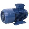 vidaXL Trifazis elektros variklis, 2,2kW/3AG, 2 polių, 2840aps./min.