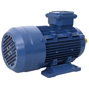 vidaXL Trifazis elektros variklis, 2,2kW/3AG, 2 polių, 2840aps./min.