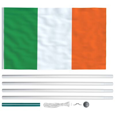 vidaXL Airijos vėliava su stiebu, aliuminis, 6,2m